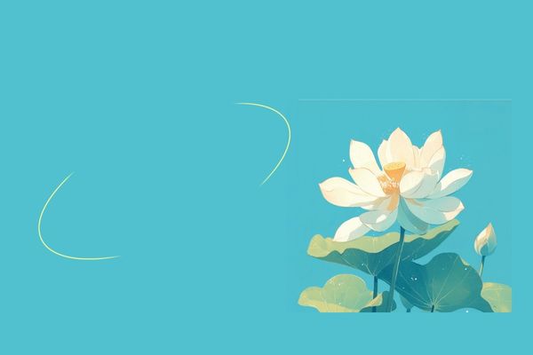 改個(gè)奶奶輩權(quán)威微信昵稱id