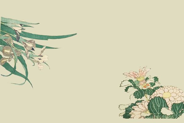 公司起名丨生態農業公司名稱大全簡單大氣