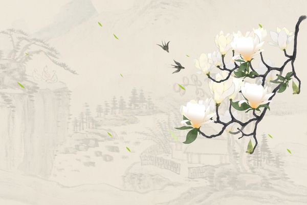 高級大氣女裝店名 女裝網店名字簡約大方