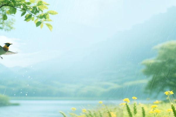 柳字怎么取網名?柳字取一個特別的網名大全