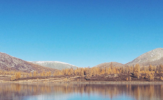 企業公司起名技巧