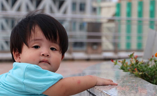 屬牛寶寶：這樣的男孩乳名有趣好聽