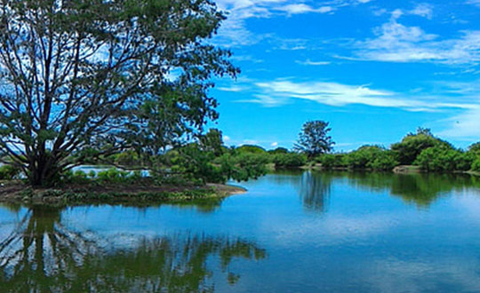 賀姓男寶寶女寶寶名字大全，一生吉祥如意