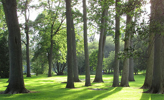 品牌名怎么起注意事項