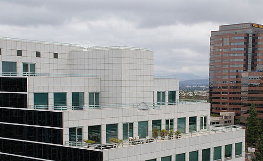 女生簡單氣質名字,女兒名字洋氣有涵養