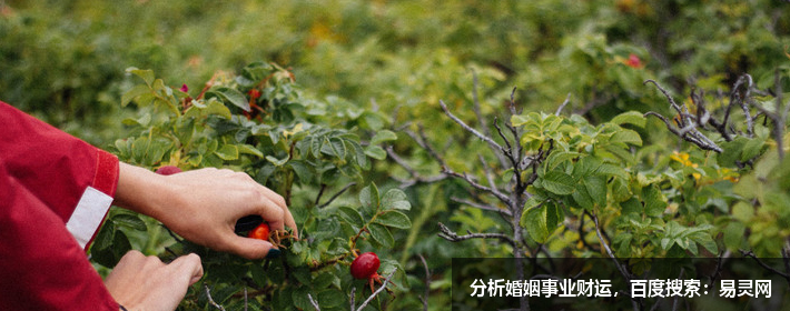 何炅這個名字怎么樣，名字解析，打分