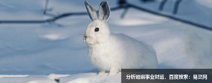 寶藏男孩胡歌，胡歌這個名字打分，解析