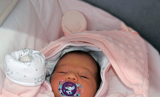 畫意詩情，春暖花開的女孩名字大全