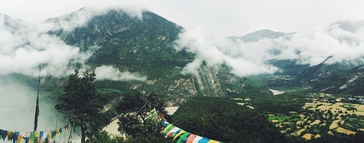 好聽的中草藥的名字女孩