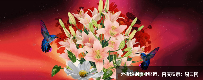 1655777045120080.png 48.png